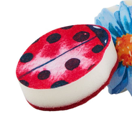 Spring Sponges