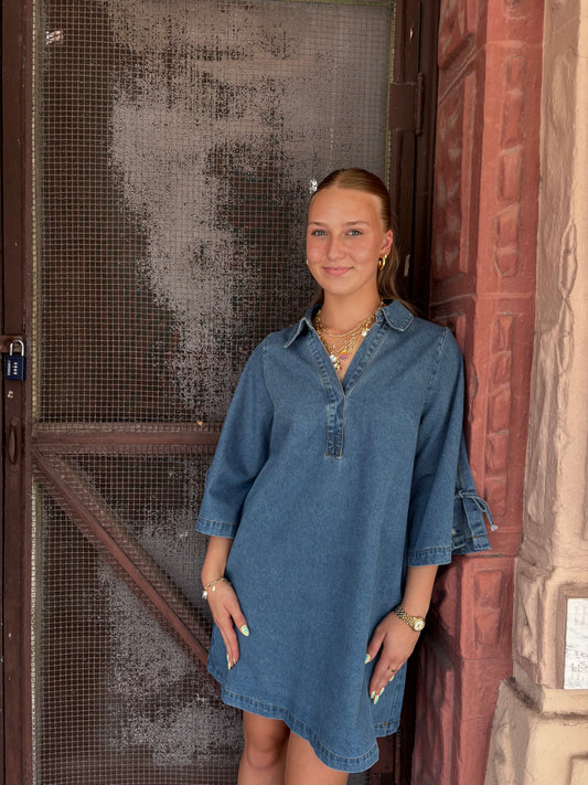 Downtown Stroll Denim Dress