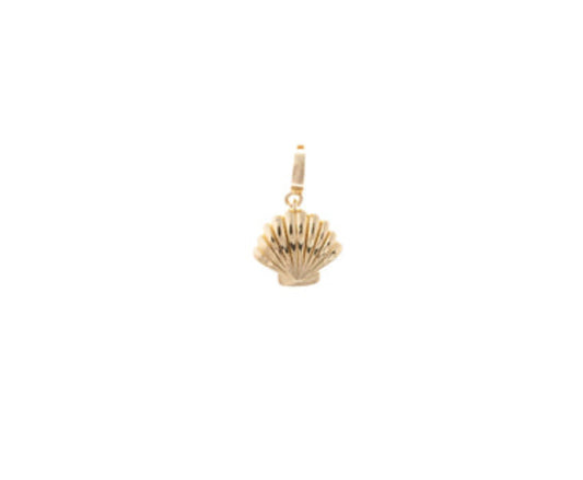Luxe Shell Charm