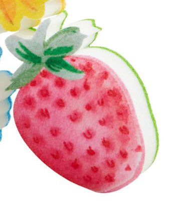 Spring Sponges