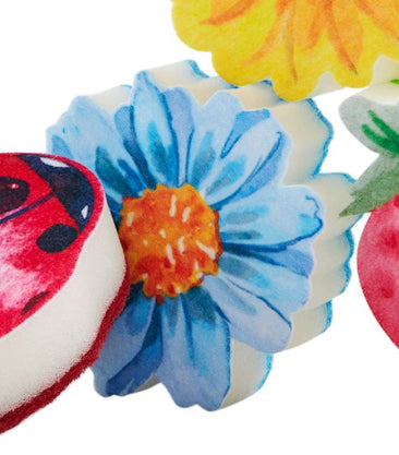 Spring Sponges