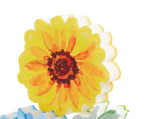 Spring Sponges