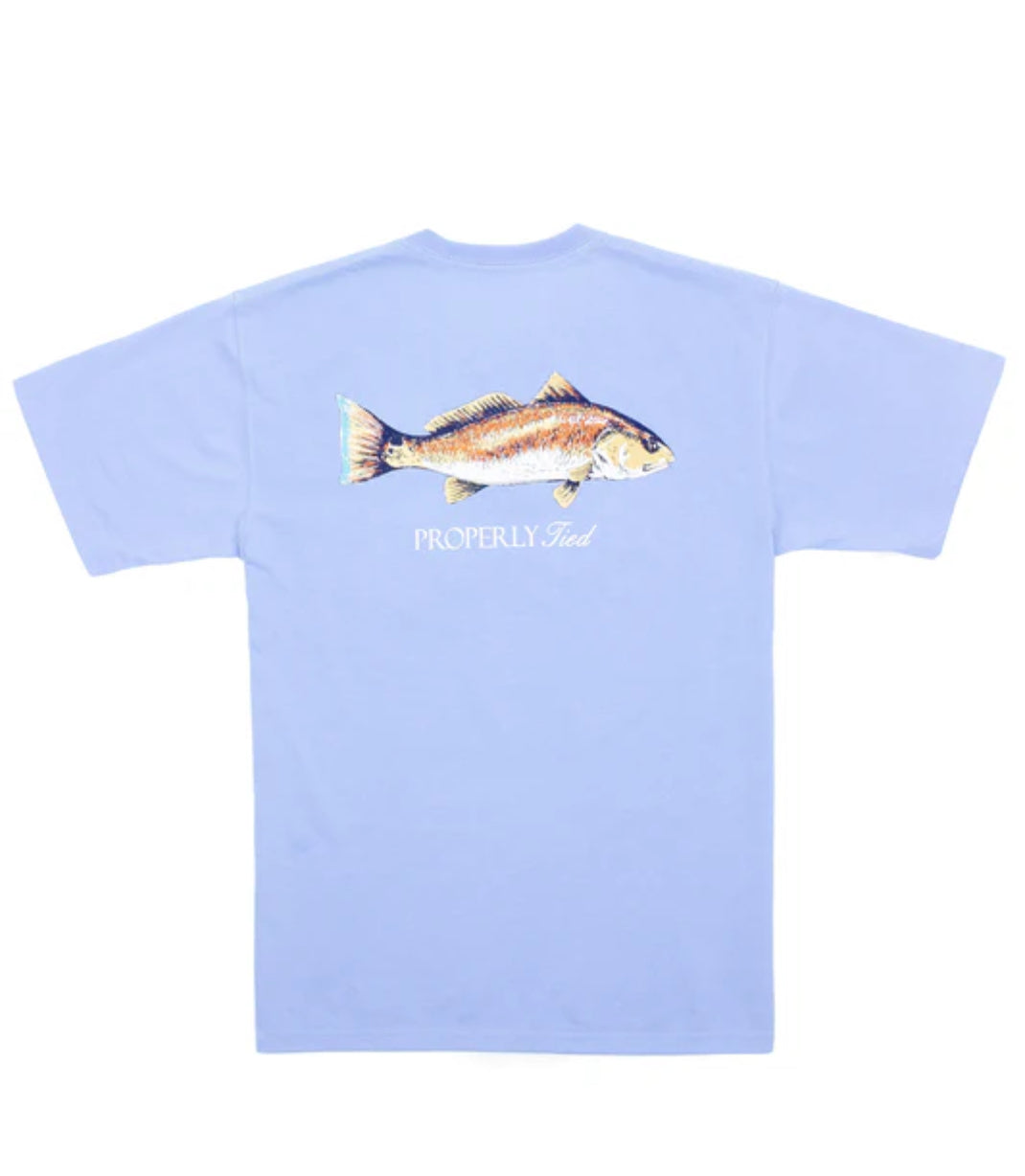 Redfish SS-Light Blue