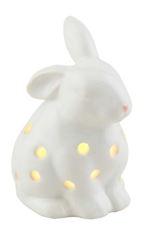 Spring LED Light Up Sitter